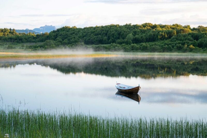 lofoten-half-day-guided-tour-with-photo-stops