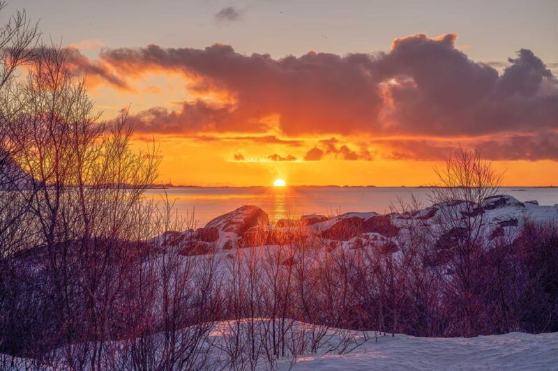 lofoten-half-day-guided-tour-with-photo-stops