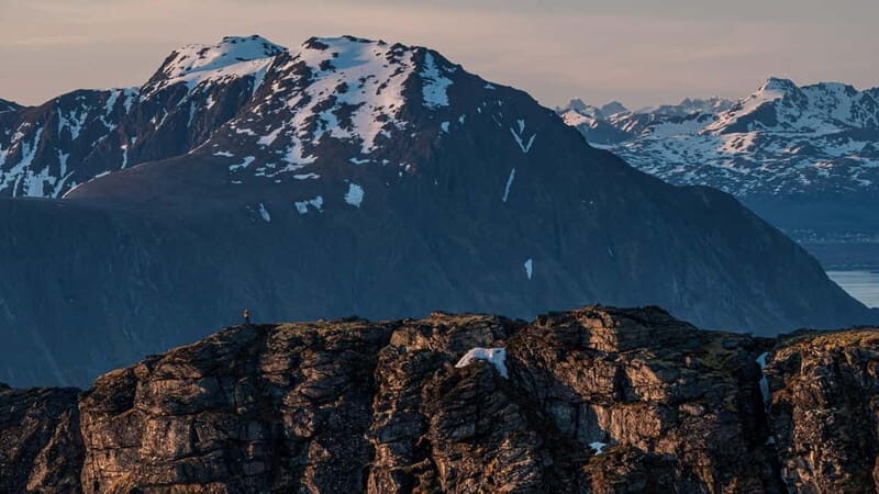 Lofoten Islands: Guided Hiking Into the Wilderness-Easy Tour - Key Points