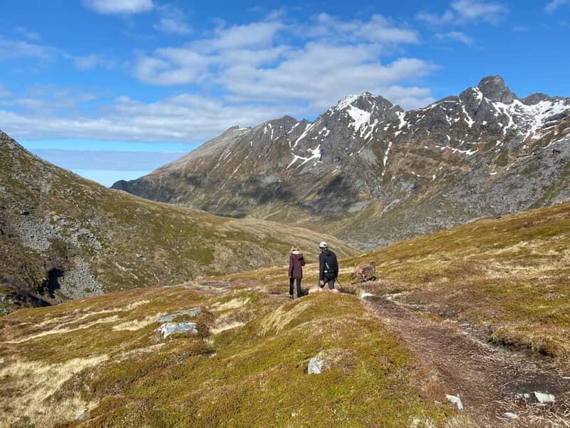Lofoten Islands: Guided Hiking Into the Wilderness-Easy Tour - Who Will Love This Tour?