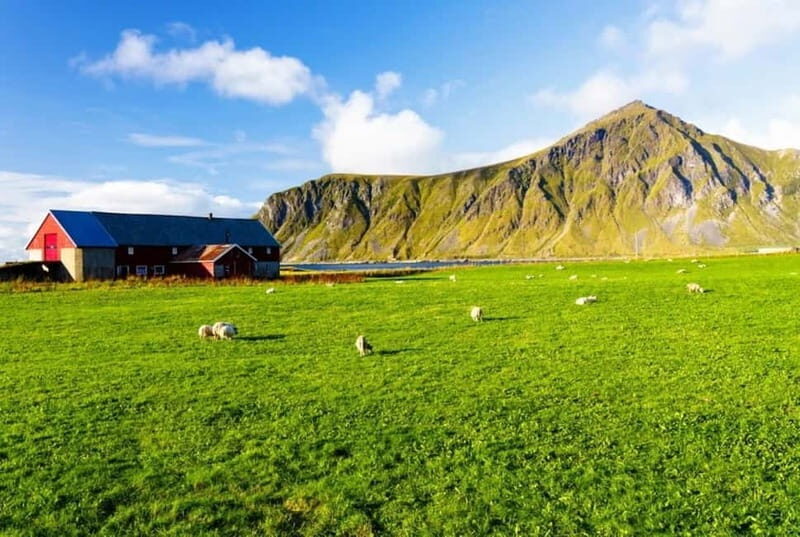 Lofoten Islands: Road Bike Scenic Tour - What to Expect During the Tour