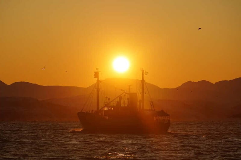 Lofoten Islands: Skrova Dinner Cruise - Who Will Love This Tour?