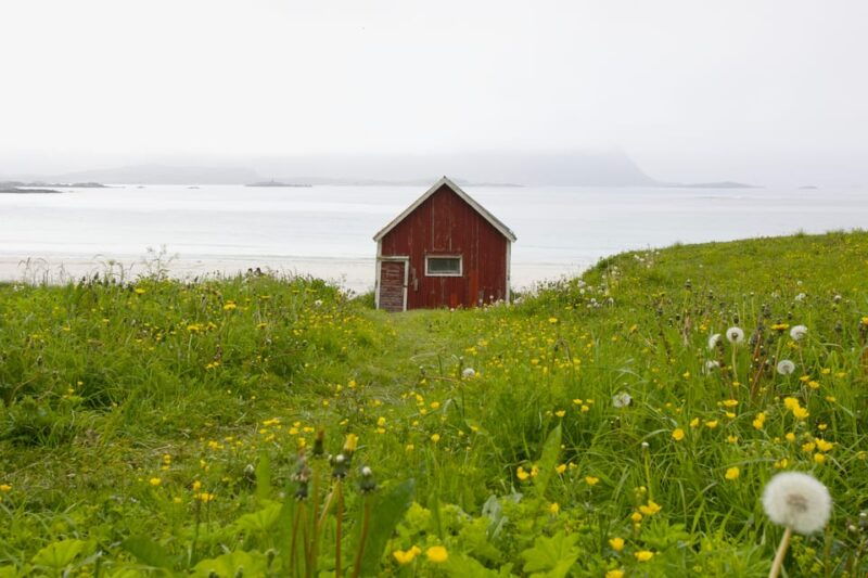 lofoten-private-tour-for-cruise-visitors-from-leknes