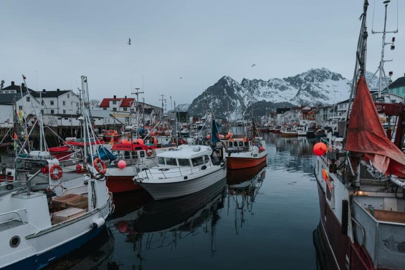 lofoten-scenic-sightseeing-tour-half-day-tour