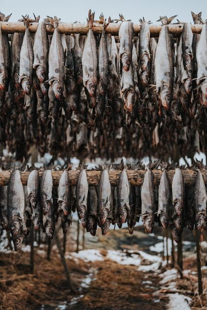 lofoten-scenic-sightseeing-tour-half-day-tour