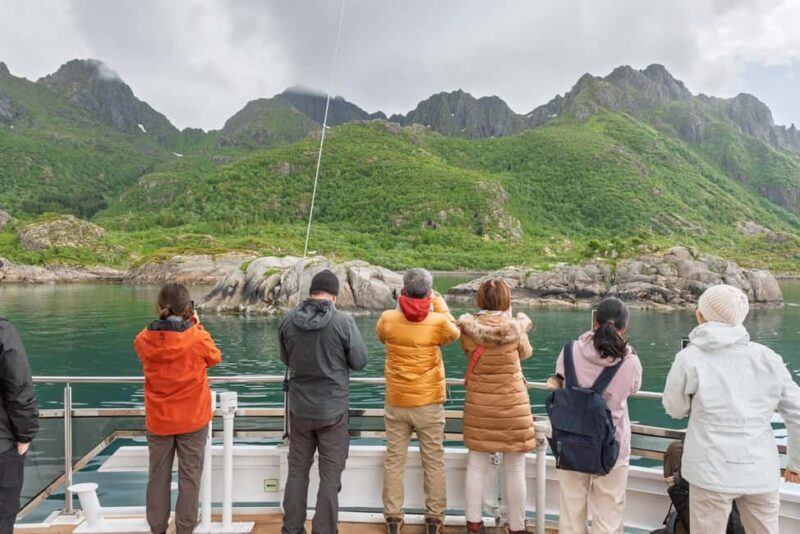 Lofoten: Sea Eagle Sunset Cruise - The Sum Up