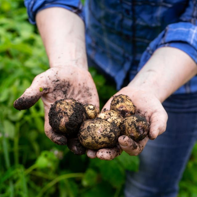 lofoten-stamsund-and-leknes-aimees-farm-experience