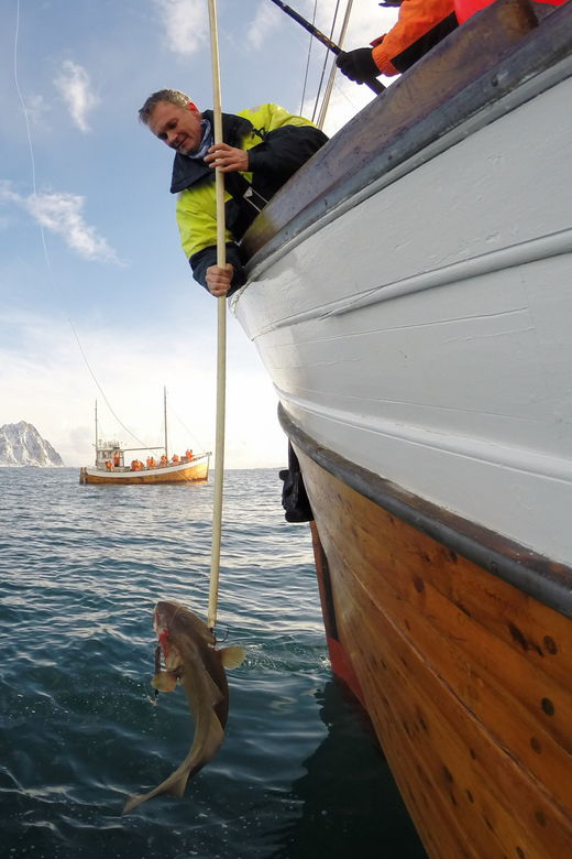 lofoten-traditional-fishing-trip