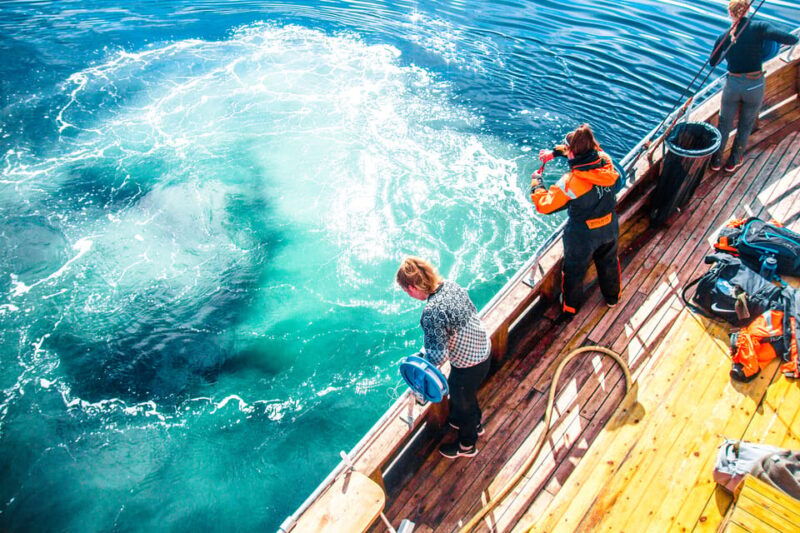 lofoten-traditional-fishing-trip