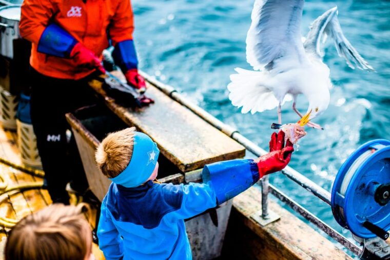 lofoten-traditional-fishing-trip