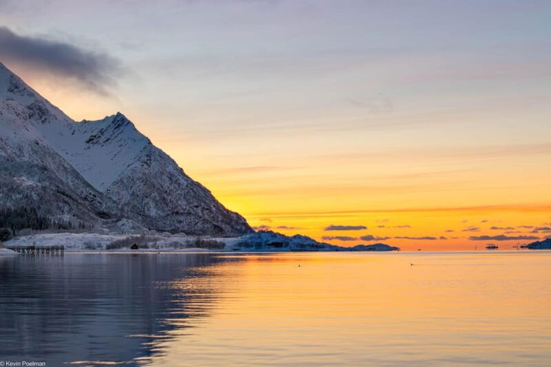 lofoten-trollfjord-sea-eagle-safari-by-rib-boat