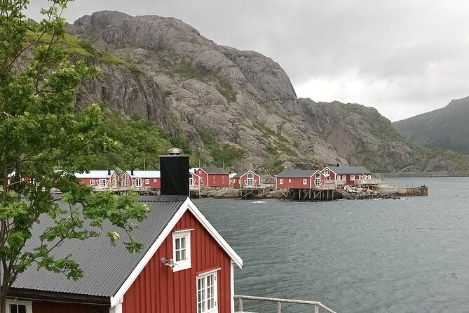 lofoten-vip-private-tour-from-leknes-city-port-2