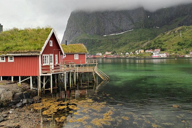 lofoten-vip-private-tour-from-leknes-city-port-2