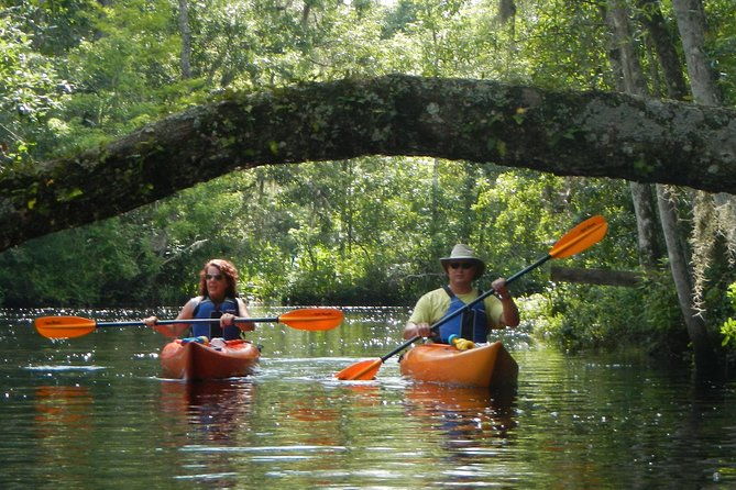 lofton-creek-kayaking-trip-with-professional-guide-2