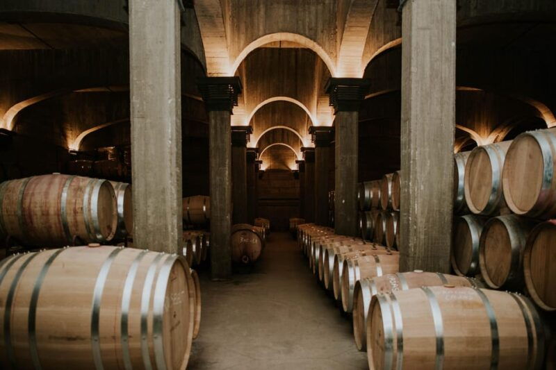logrono-guided-visit-with-tasting-of-3-wines-and-aperitif-at-vina-ijalba