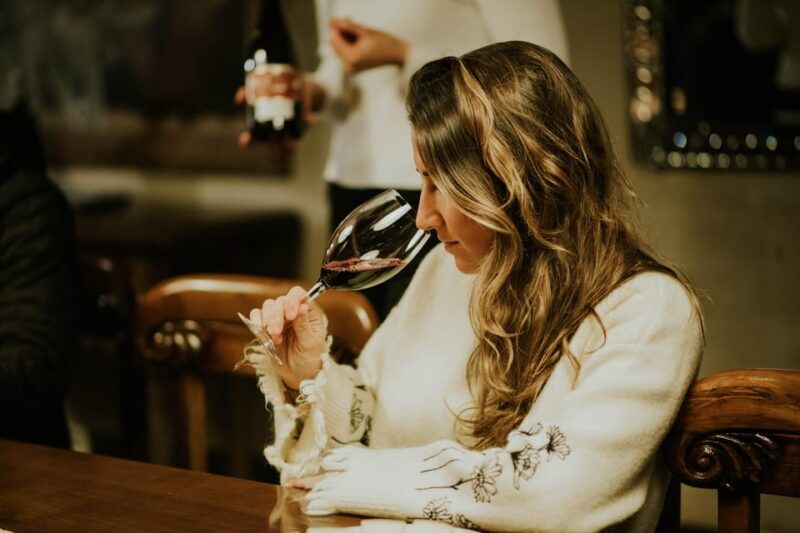 logrono-guided-visit-with-tasting-of-3-wines-and-aperitif-at-vina-ijalba