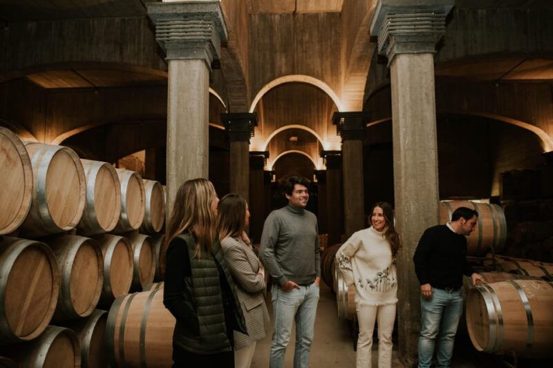 logrono-guided-visit-with-tasting-of-3-wines-and-aperitif-at-vina-ijalba