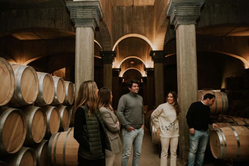 Logroño: Guided visit with tasting of 3 wines and appetizer at Viña Ijalba. - Key Points