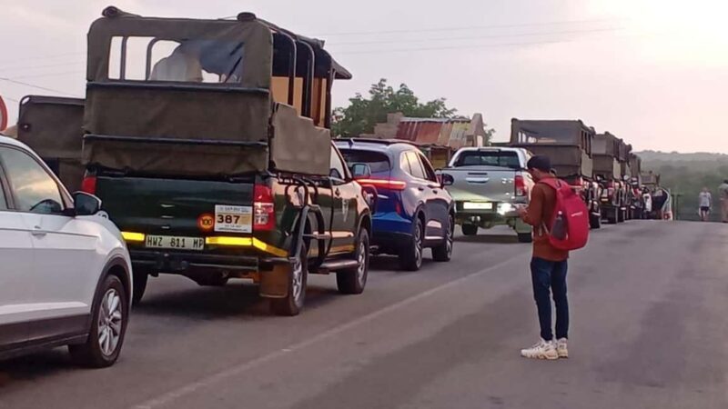 LOIN AND SAFARI PARK AND LESEDI CULTURAL FULL DAY TOUR - LOIN AND SAFARI PARK AND LESEDI CULTURAL FULL DAY TOUR: An Authentic South African Experience