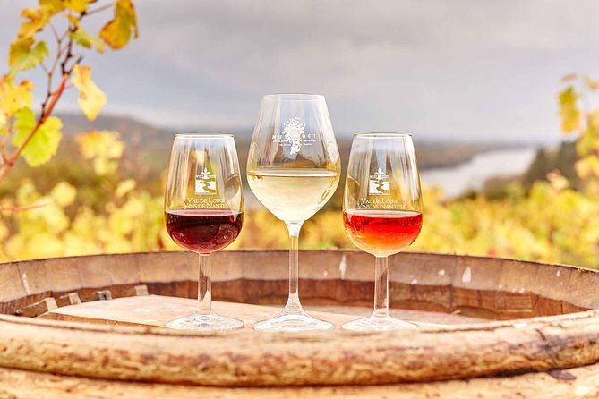 loire-valley-2-days-private-tour-all-inclusive-from-paris-with-train-tickets-2