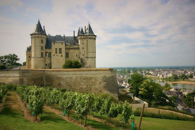 loire-valley-castles-and-wineries-private-vip-day-trip-with-lunch