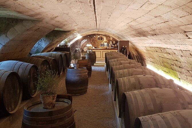 loire-valley-castles-private-tour-from-paris-skip-the-line-ticket