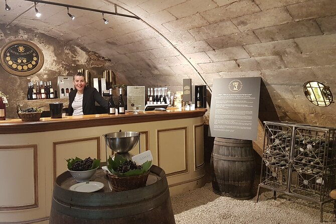 loire-valley-castles-private-tour-from-paris-skip-the-line-ticket