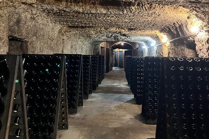 loire-valley-chambord-castle-and-wine-tasting-from-paris