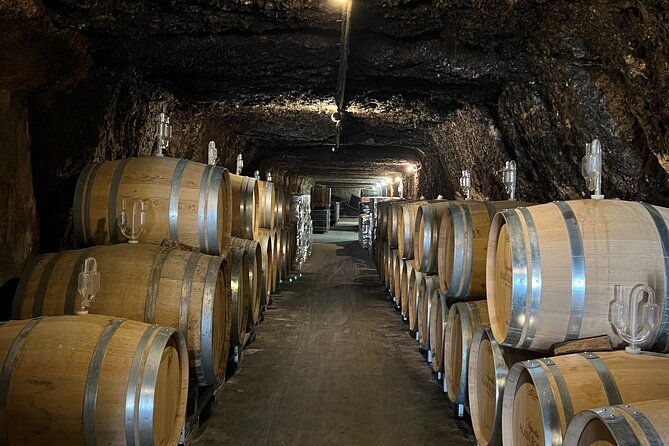 loire-valley-chambord-castle-and-wine-tasting-from-paris