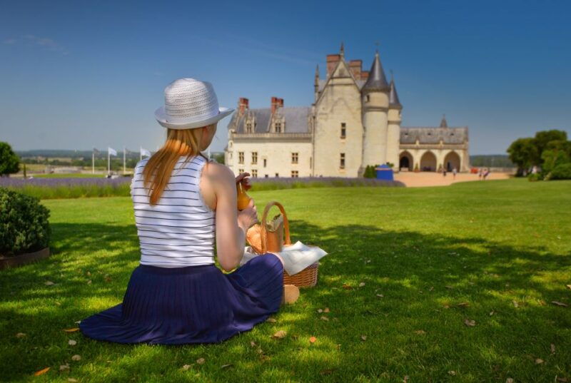 Loire Valley: Château Royal d'Amboise Entrance Ticket - Overview of the Château Royal dAmboise Experience
