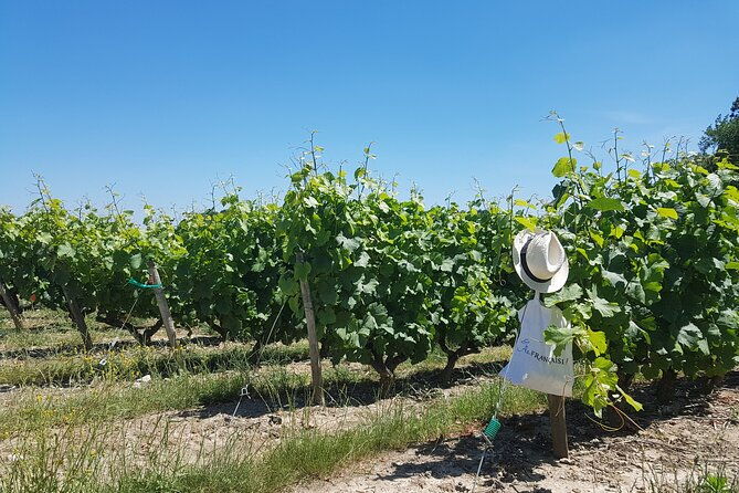 loire-valley-day-from-tours-azay-le-rideau-villandry-winery