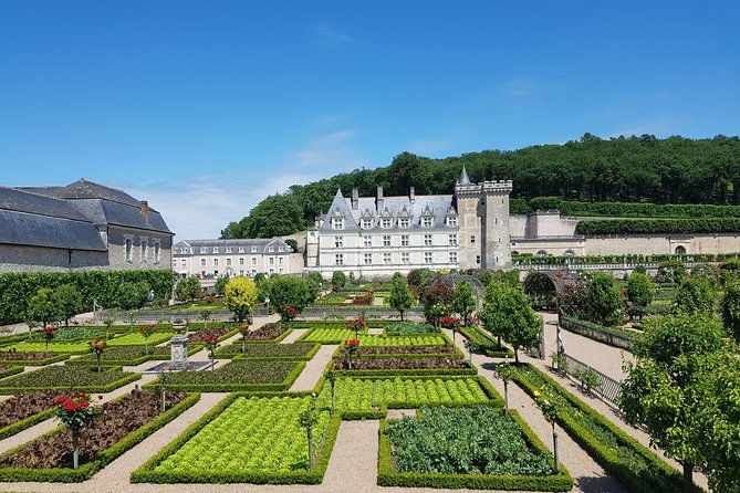 loire-valley-half-day-villandry-and-azay-le-rideau-from-tours