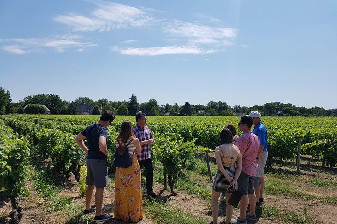 loire-valley-half-day-wine-tour-from-tours-vouvray-wine-tasting