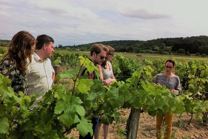 loire-valley-half-day-wine-tour-from-tours-vouvray-wine-tasting