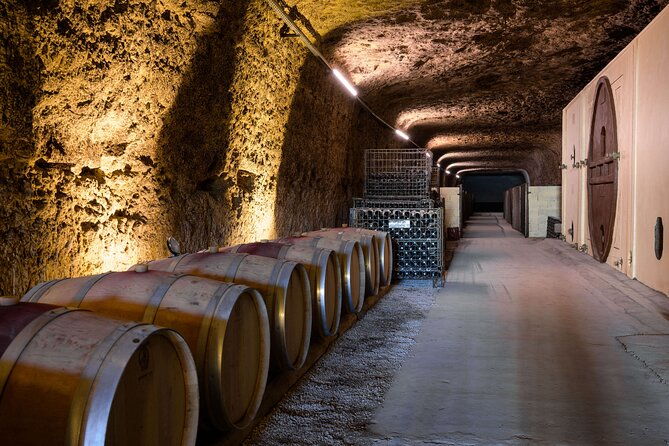 loire-valley-most-visited-castles-private-tour-from-tours-or-amboise