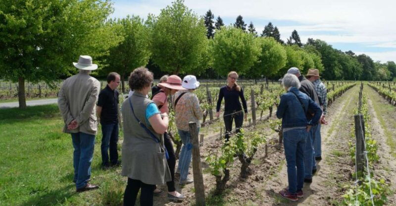 loire-valley-tour-wine-tasting-vouvray-chinon-bourgueil