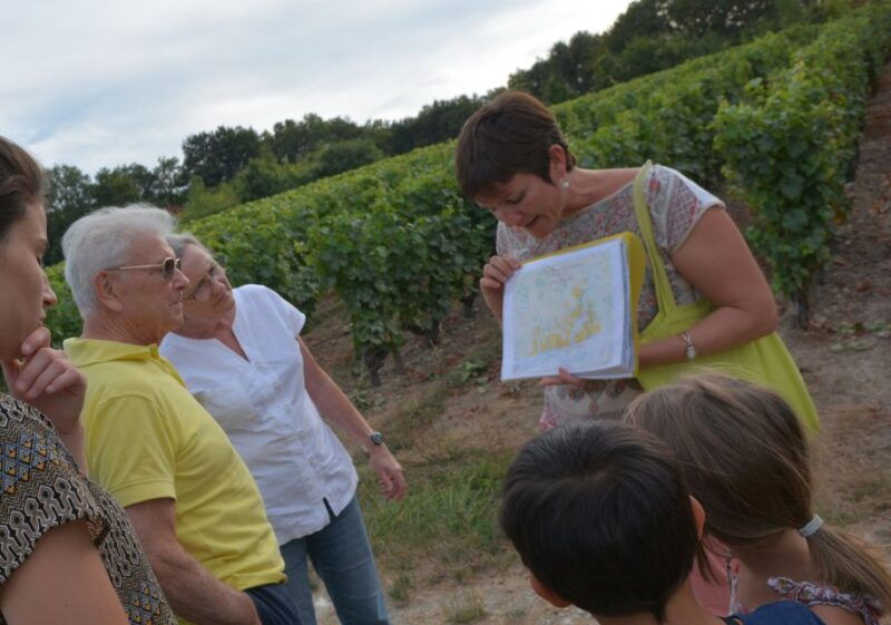 loire-valley-vouvray-vineyard-tour-and-wine-tasting