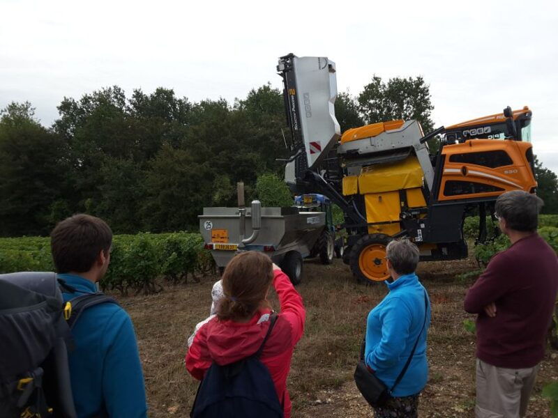 loire-valley-vouvray-vineyard-tour-and-wine-tasting