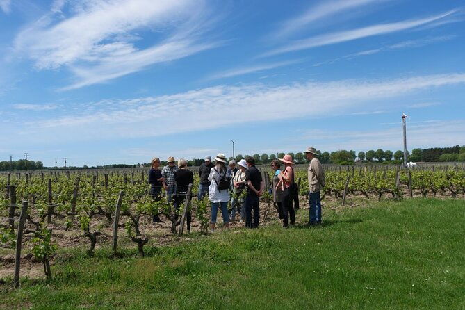 loire-valley-wines-private-day-tour-with-tastings-from-tours-or-amboise