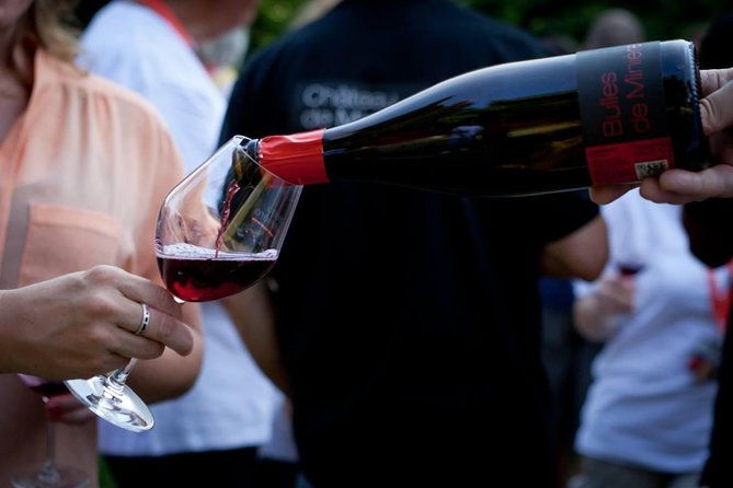 loire-valley-wines-private-day-tour-with-tastings-from-tours-or-amboise