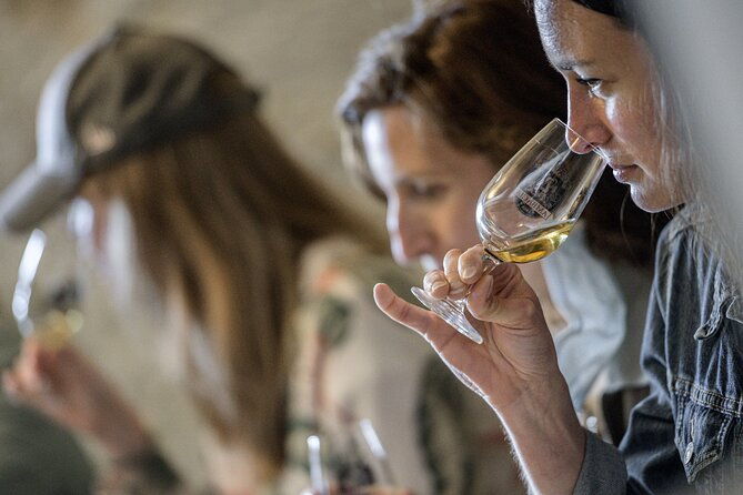 loire-valley-wines-private-day-tour-with-tastings-from-tours-or-amboise