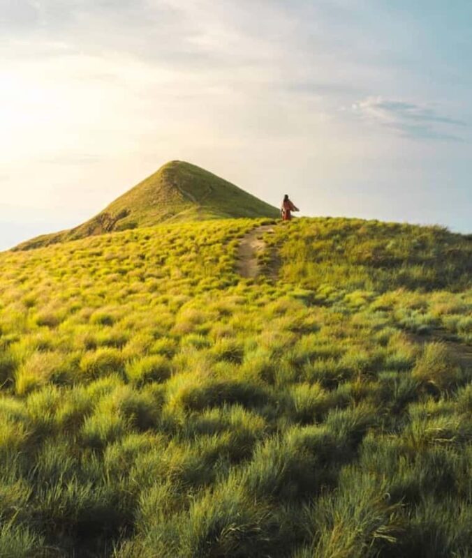 Lombok: 2-Day Whale Shark Snorkeling & Kenawa Island Tour - Key Points