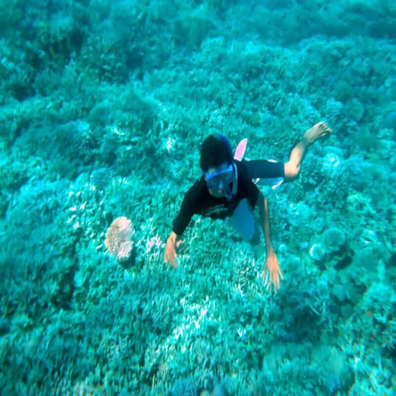 Lombok: 2-Day Whale Shark Tour with Camping & BBQ - What to Expect: An In-Depth Look at the 2-Day Tour