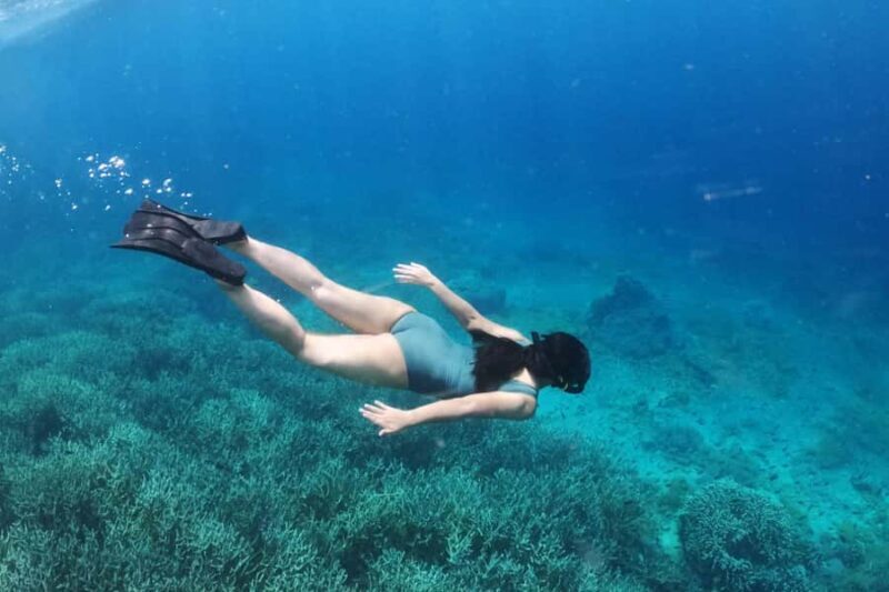 Lombok: 5 Gili Islands Snorkeling Tour With Private Boat - Who Should Consider This Tour?