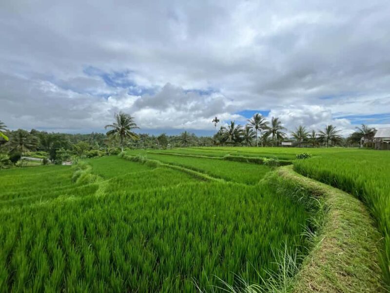 Lombok: Benang Kelambu & Stokel Waterfall, Culture & Beach - Beachside Relaxation at Tanjung Aan & Merese Hill