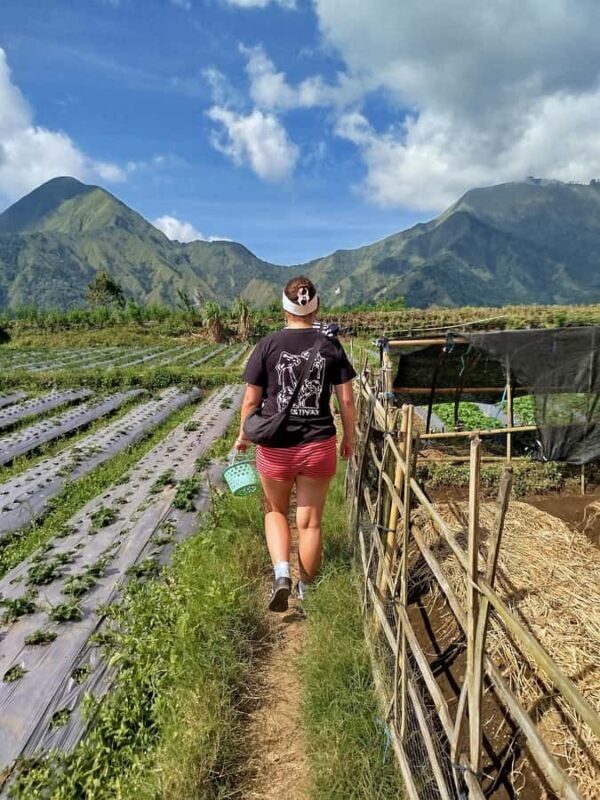 Lombok: Benang Stokel Waterfall Guided Trek with Snacks - What to Expect on Your Benang Stokel Waterfall Trek