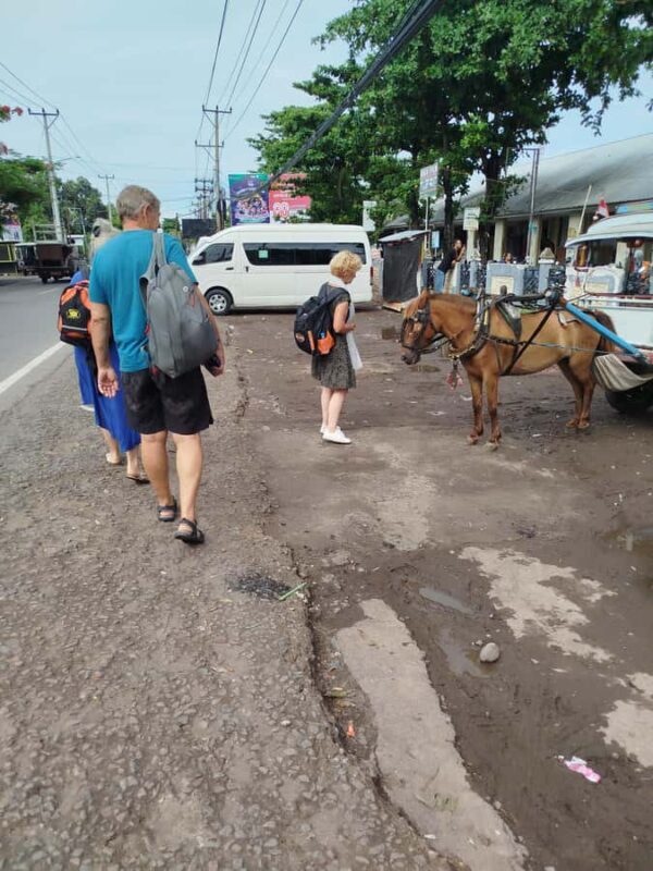 Lombok: Benang Stokel Waterfall Guided Trek with Snacks - Who Would Love This Experience?