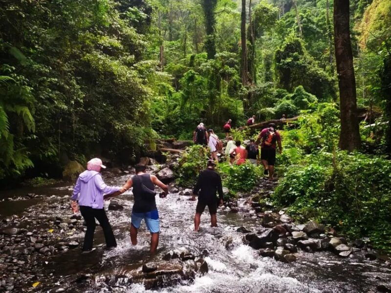 lombok-biggest-waterfall-sendang-gile-tiu-kelep-tour