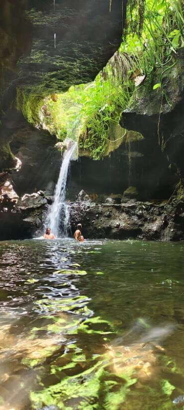 lombok-black-monkey-rice-terace-waterfall-tetebatu