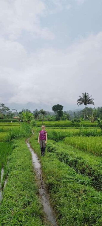 lombok-black-monkey-rice-terace-waterfall-tetebatu